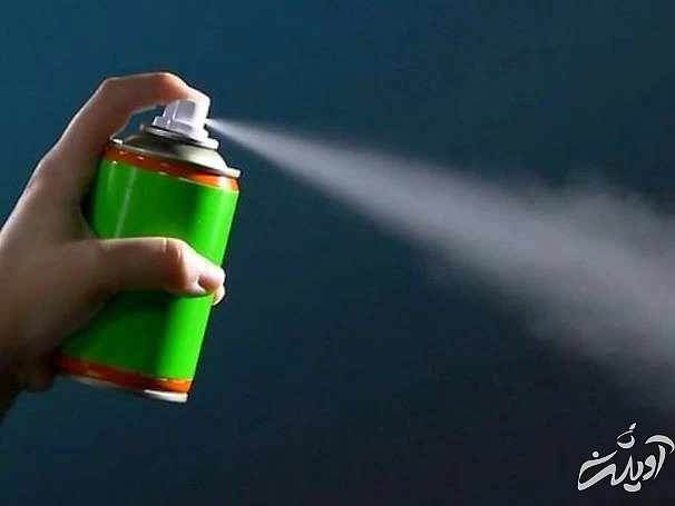 برای کشتن سوسک ها چه کنیم  کشتن سوسک ها